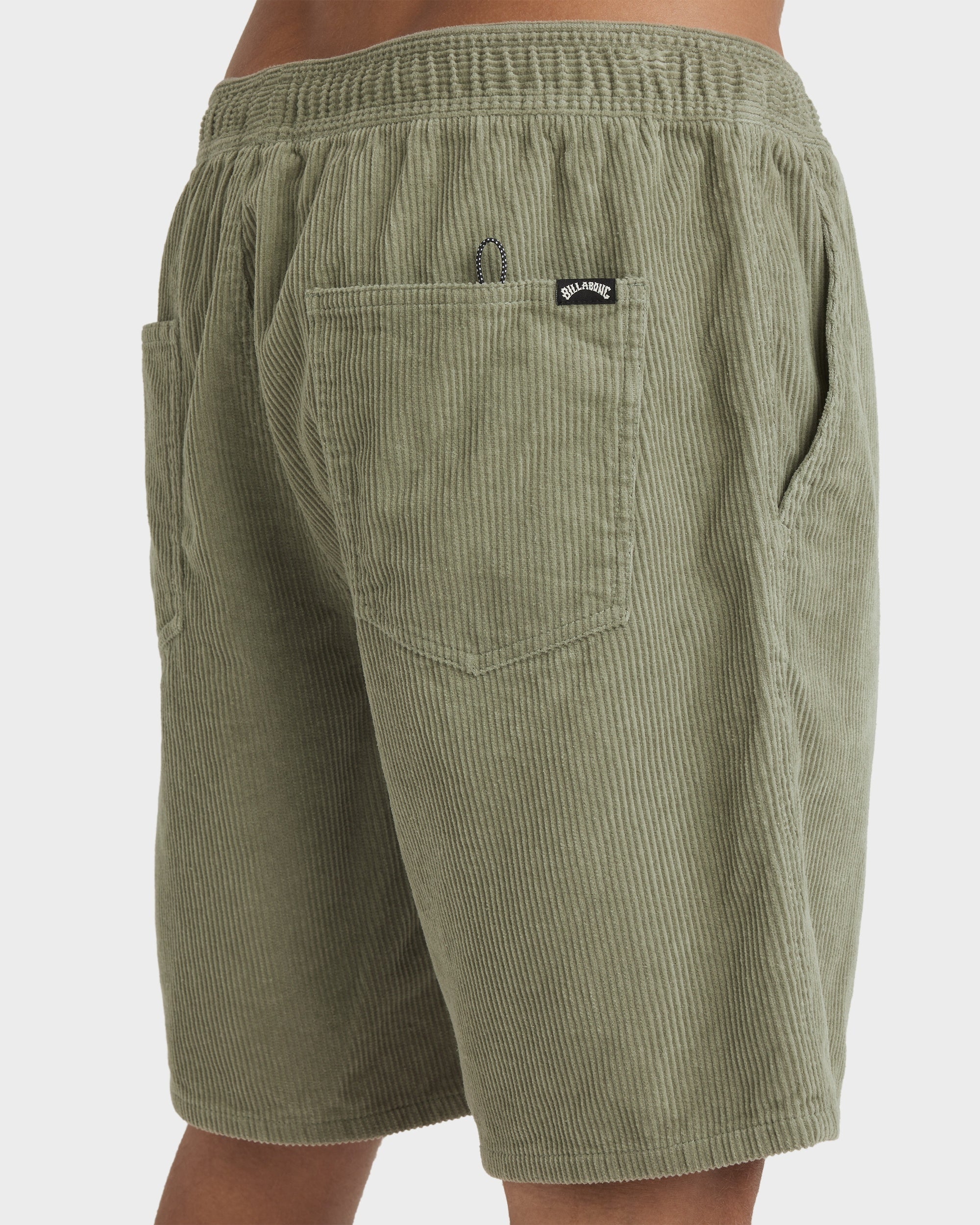 Mens Larry Corduroy 18" WalkShorts