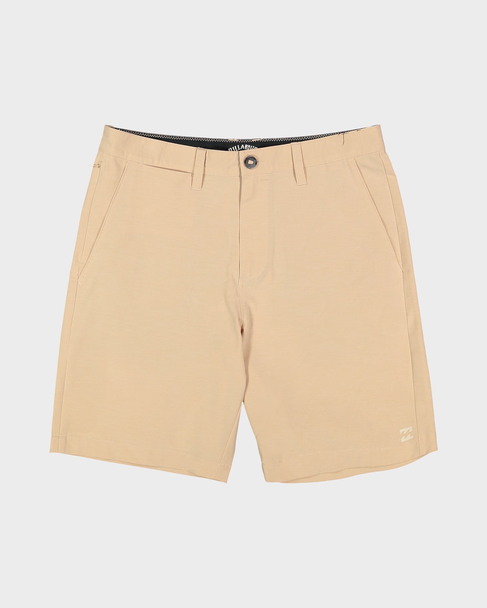 Mens Primary Submersible 19" Shorts