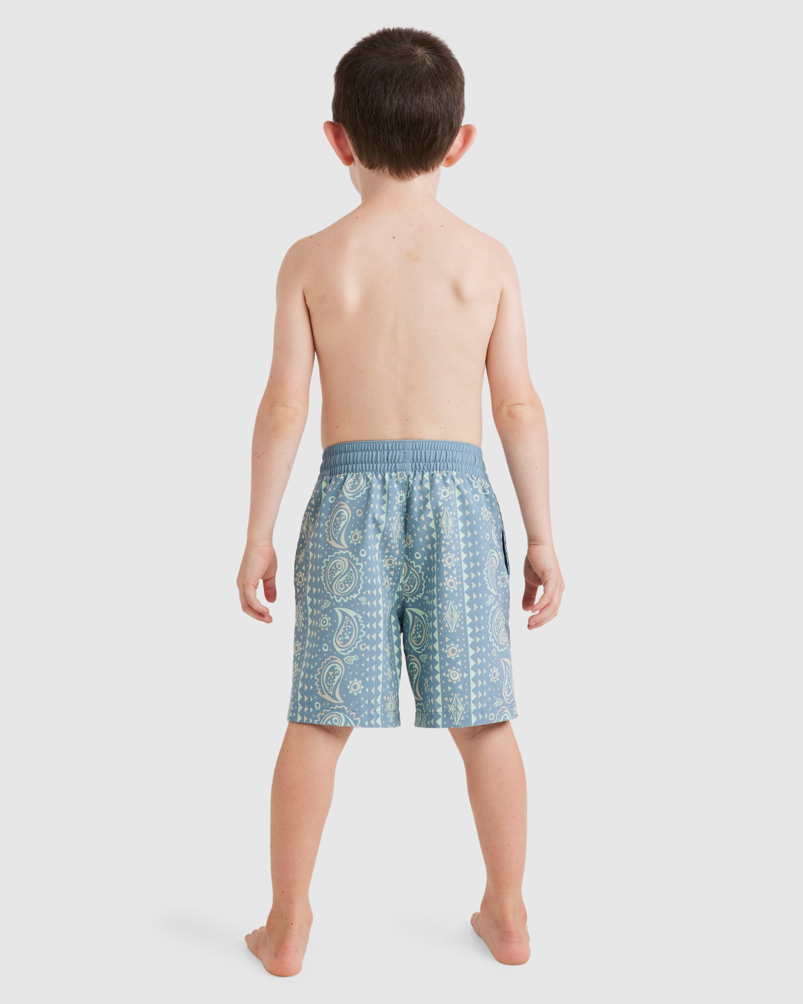 Boys 2-7 Good Times Layback Boardshorts