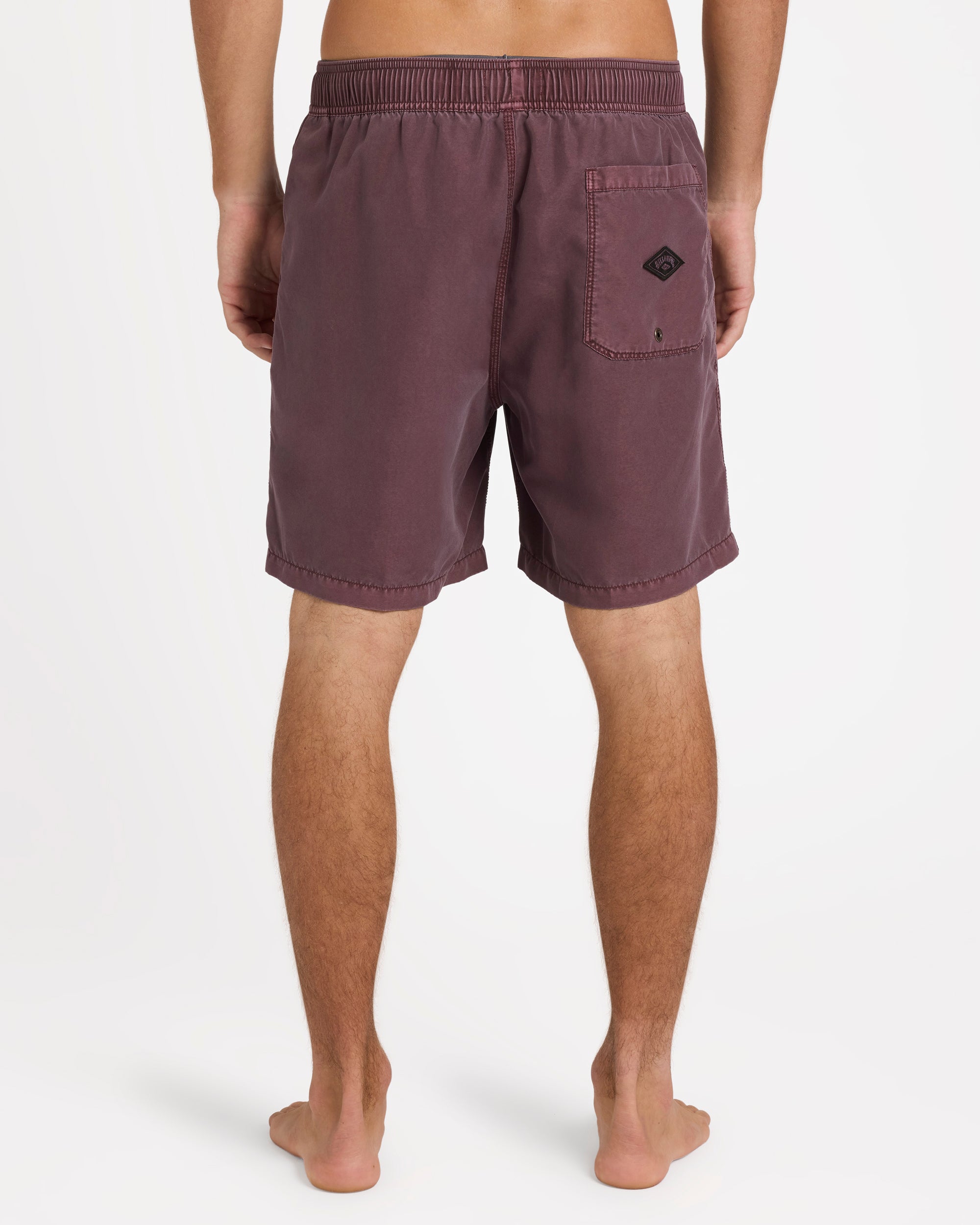 Mens All Day Overdye Layback 17" Boardshorts