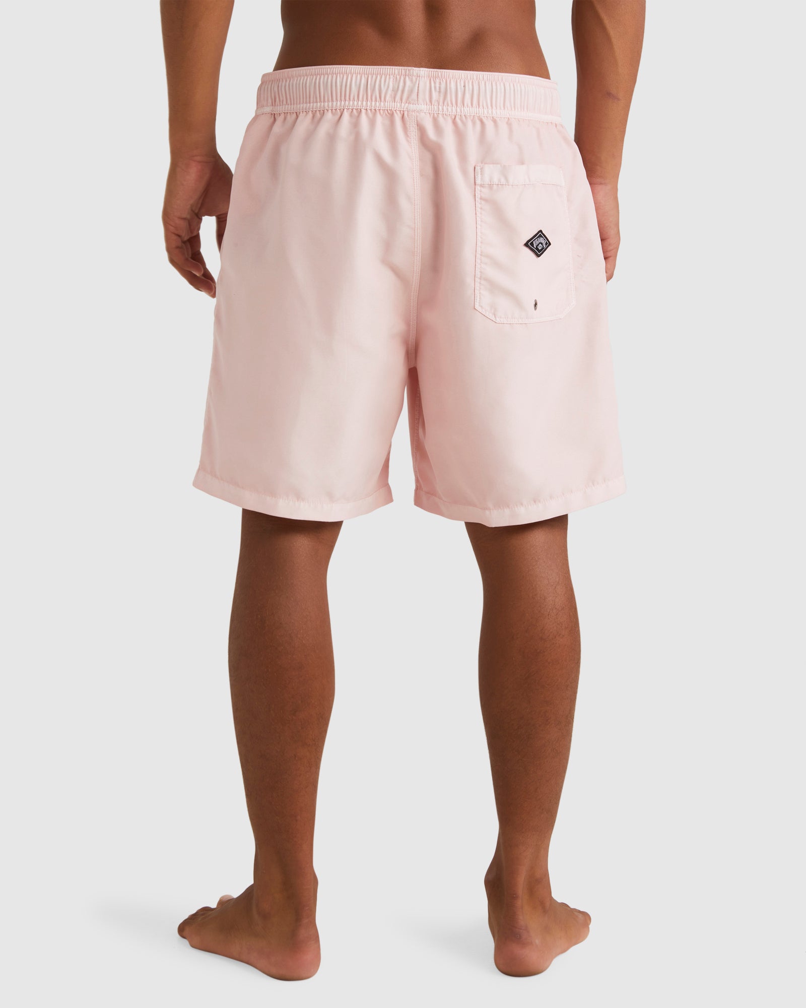 Mens All Day Overdye Layback 17" Boardshorts