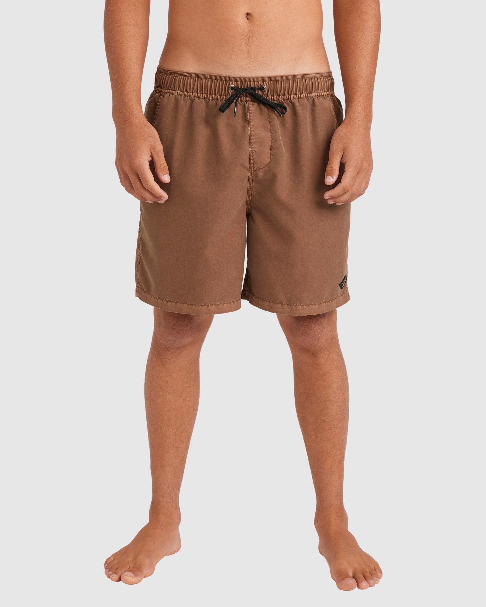 Mens All Day Overdye Layback 17" Boardshorts