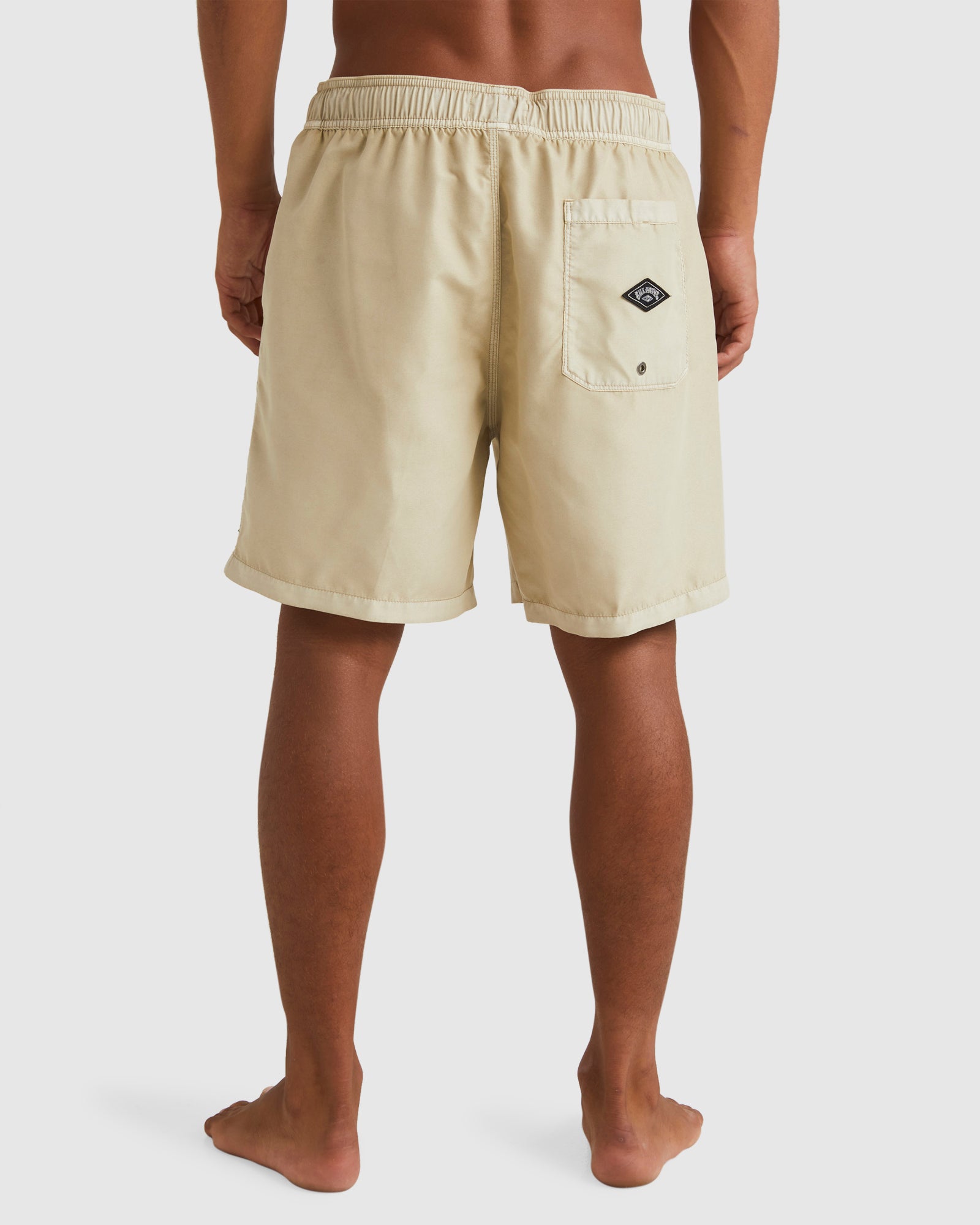 Mens All Day Overdye Layback 17" Boardshorts