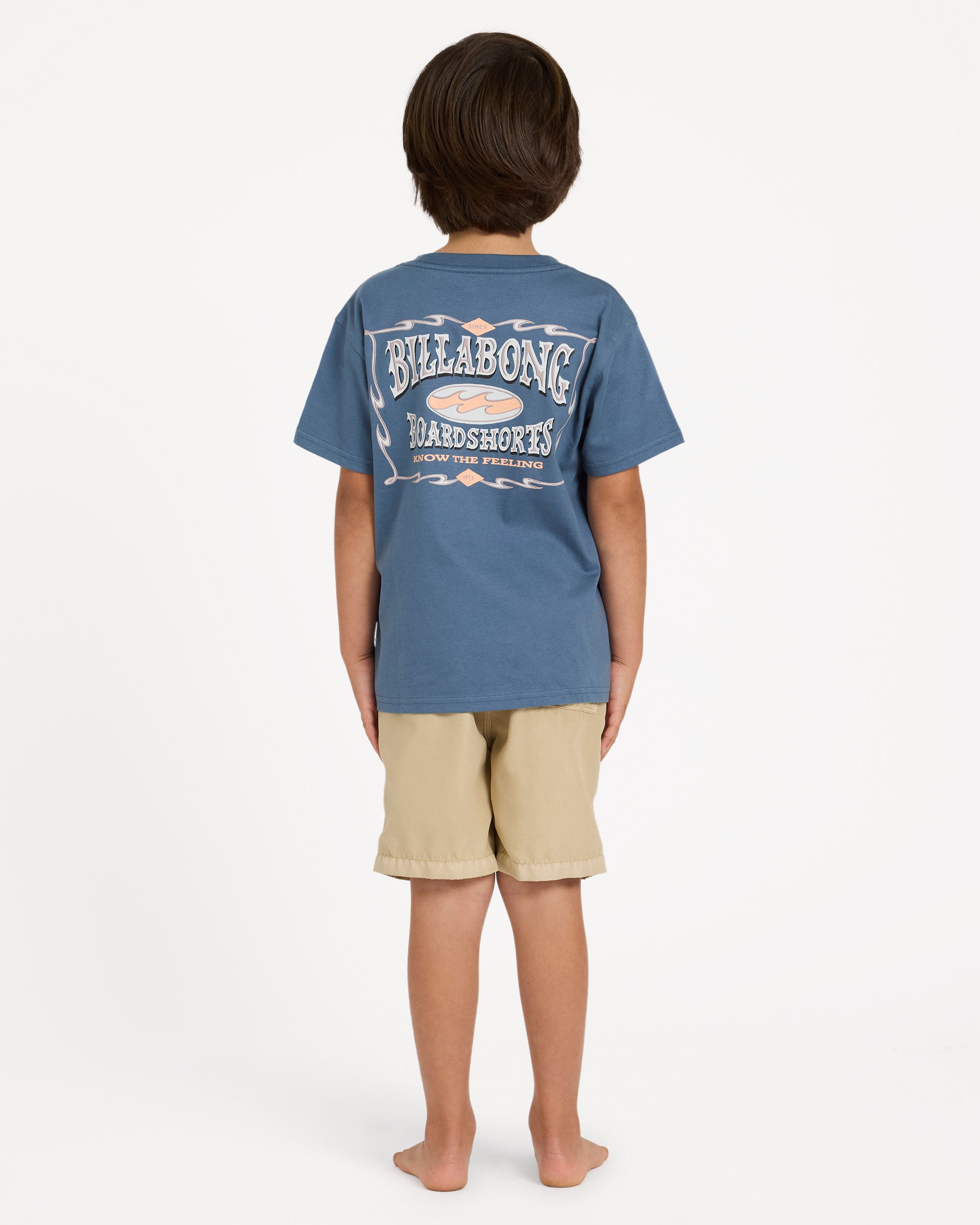 ubtzt00210_billabong_s28_bck1