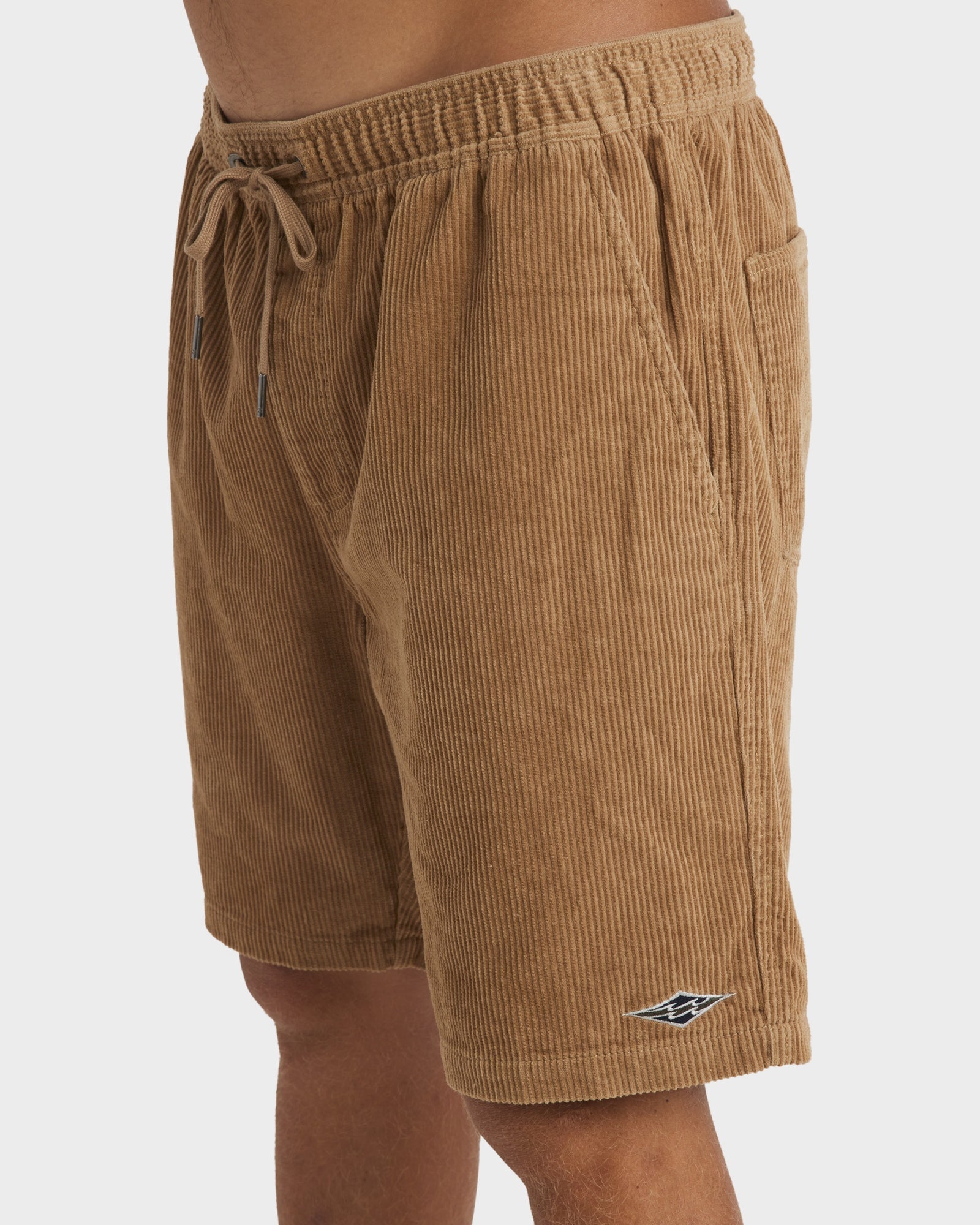 Mens Larry Corduroy 18" Walkshorts