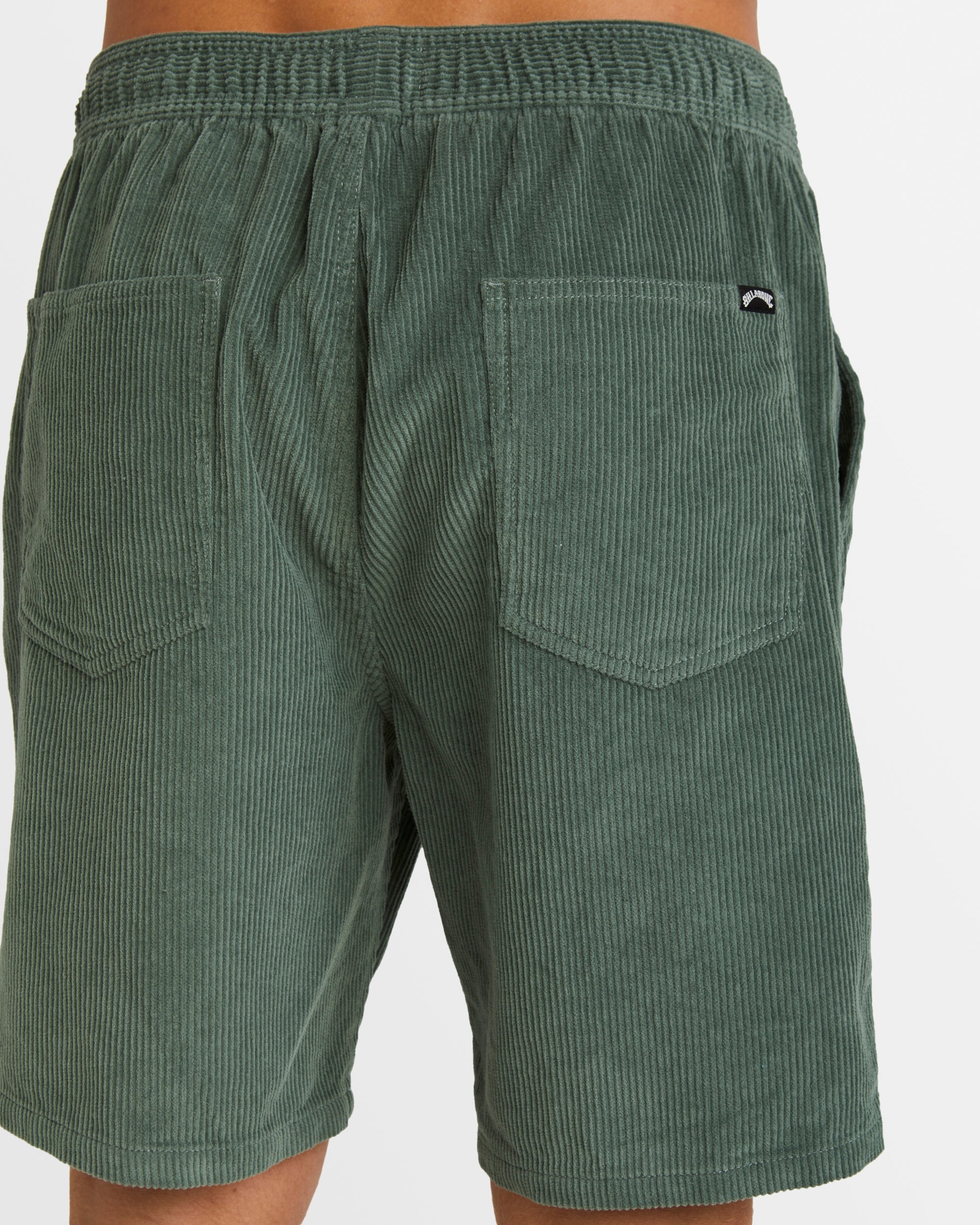 Mens Larry Corduroy 18" Walkshorts
