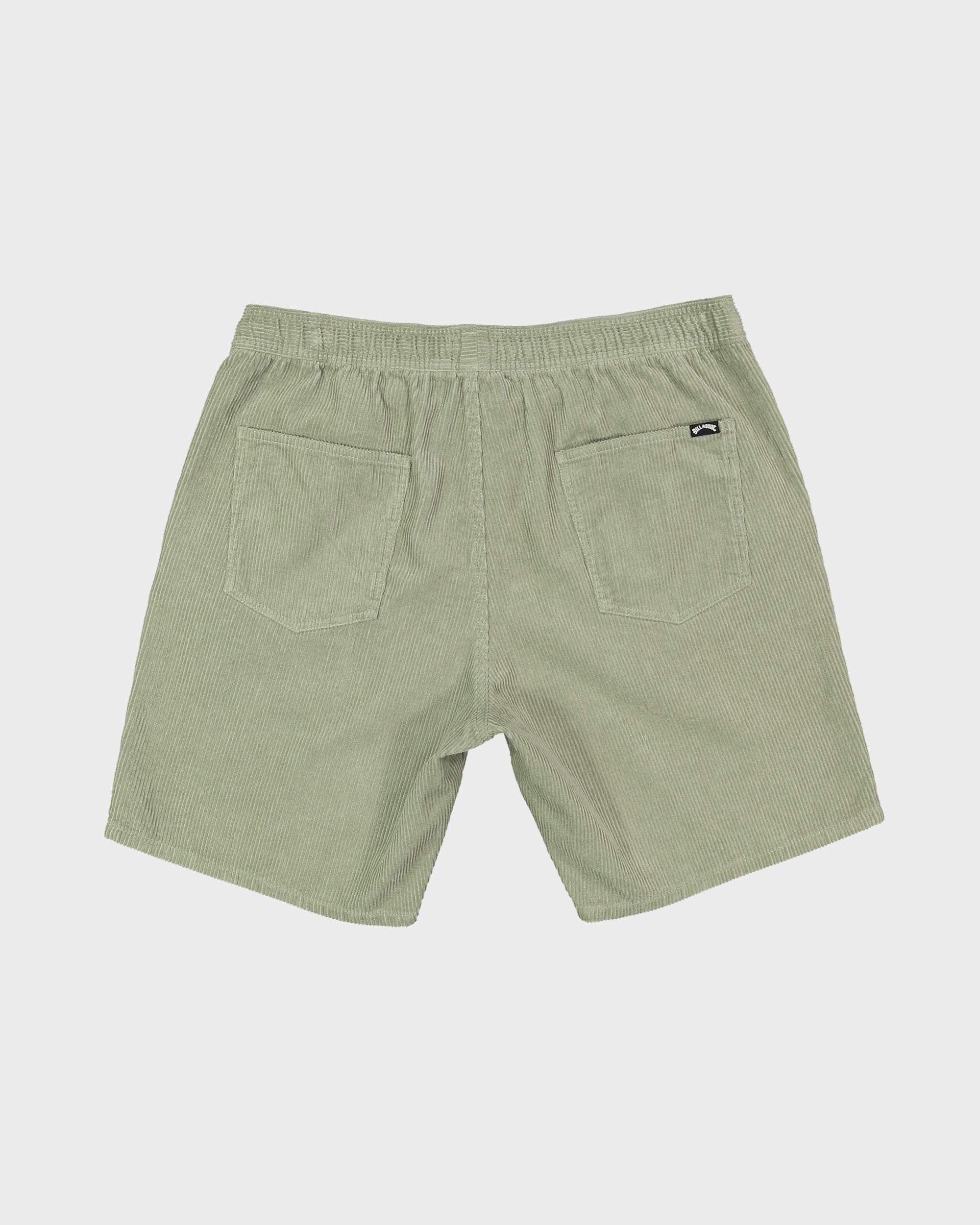 Mens Larry Corduroy 18" WalkShorts