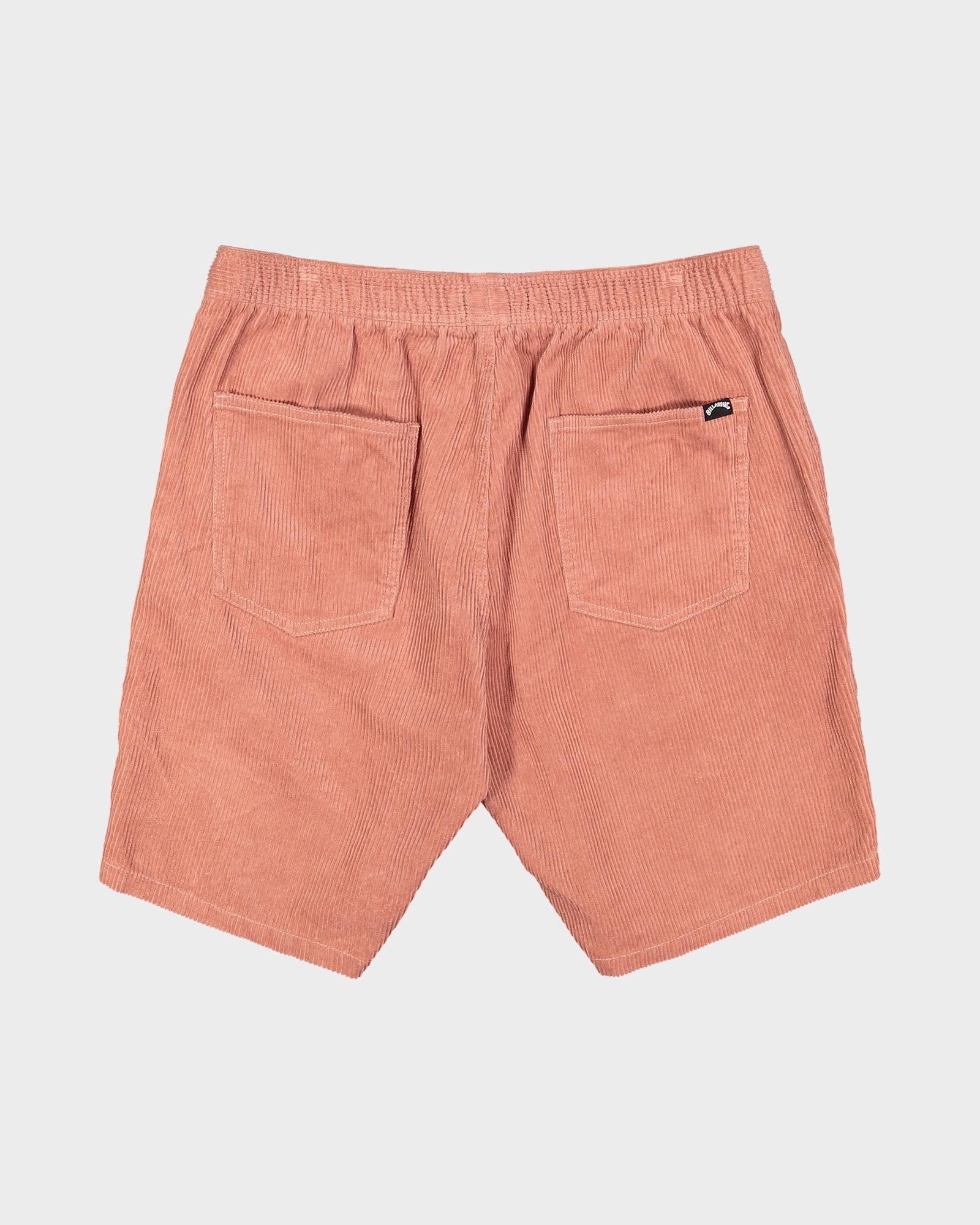 Mens Larry Corduroy 18" WalkShorts