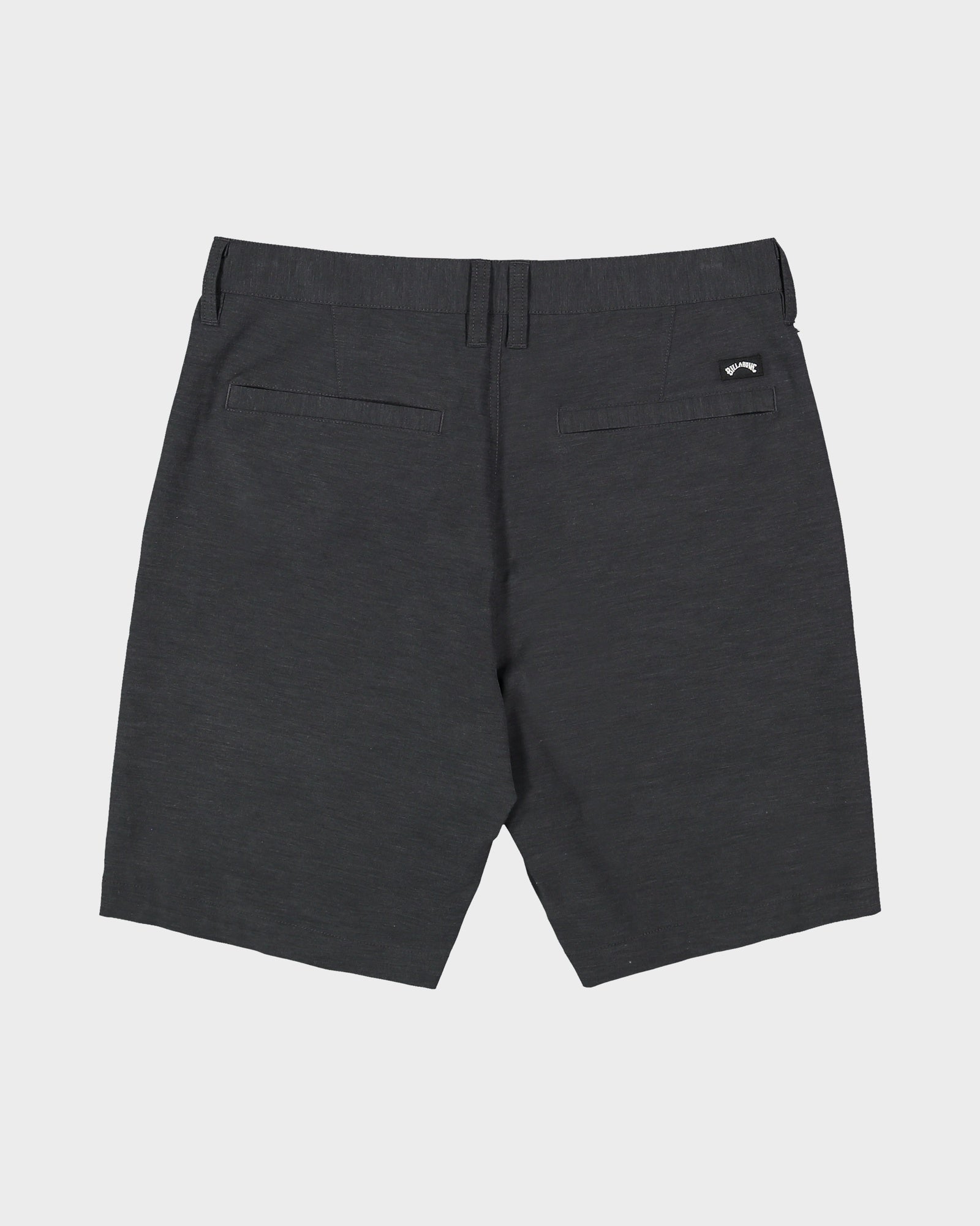 Mens Primary Submersible 19" Shorts