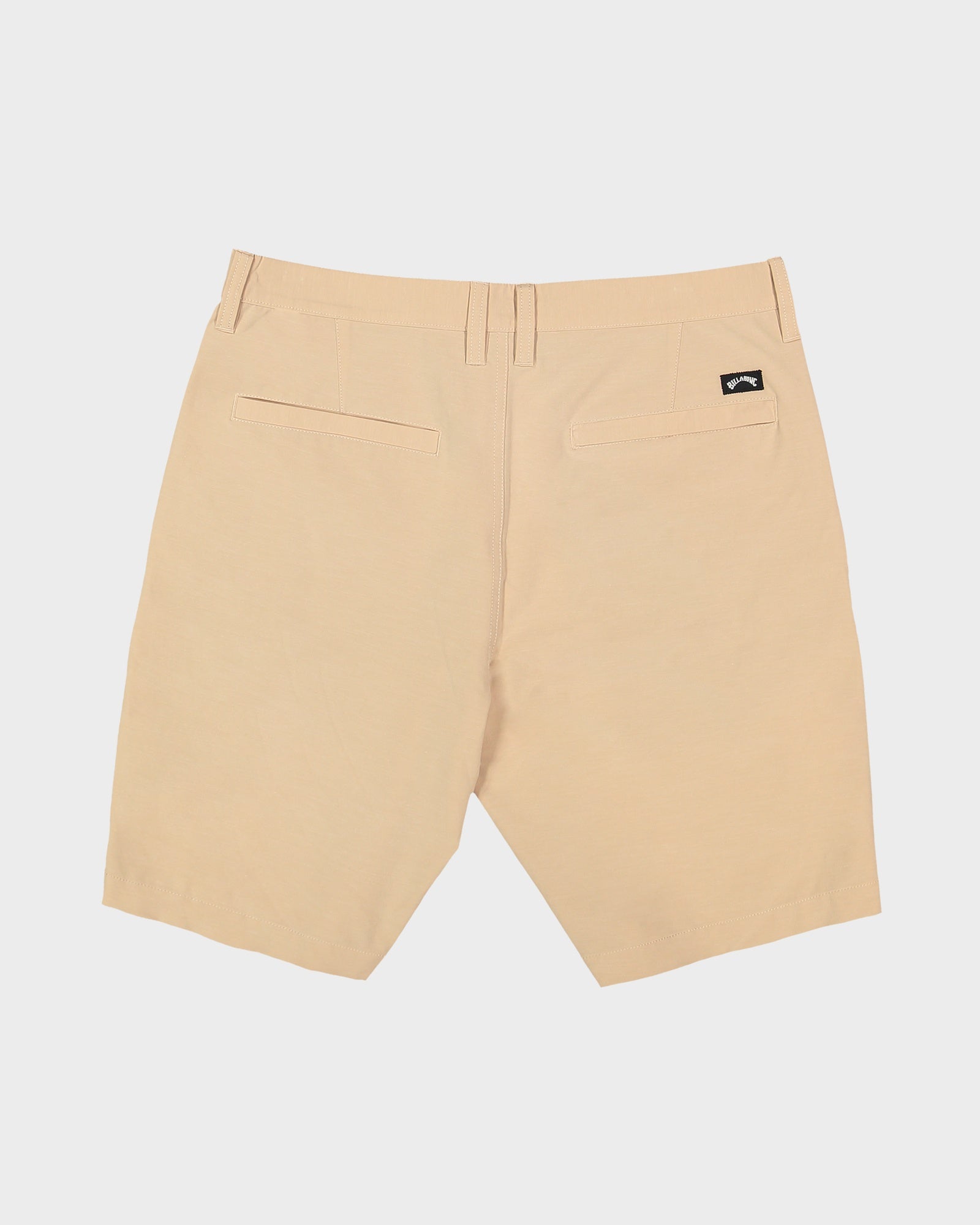 Mens Primary Submersible 19" Shorts