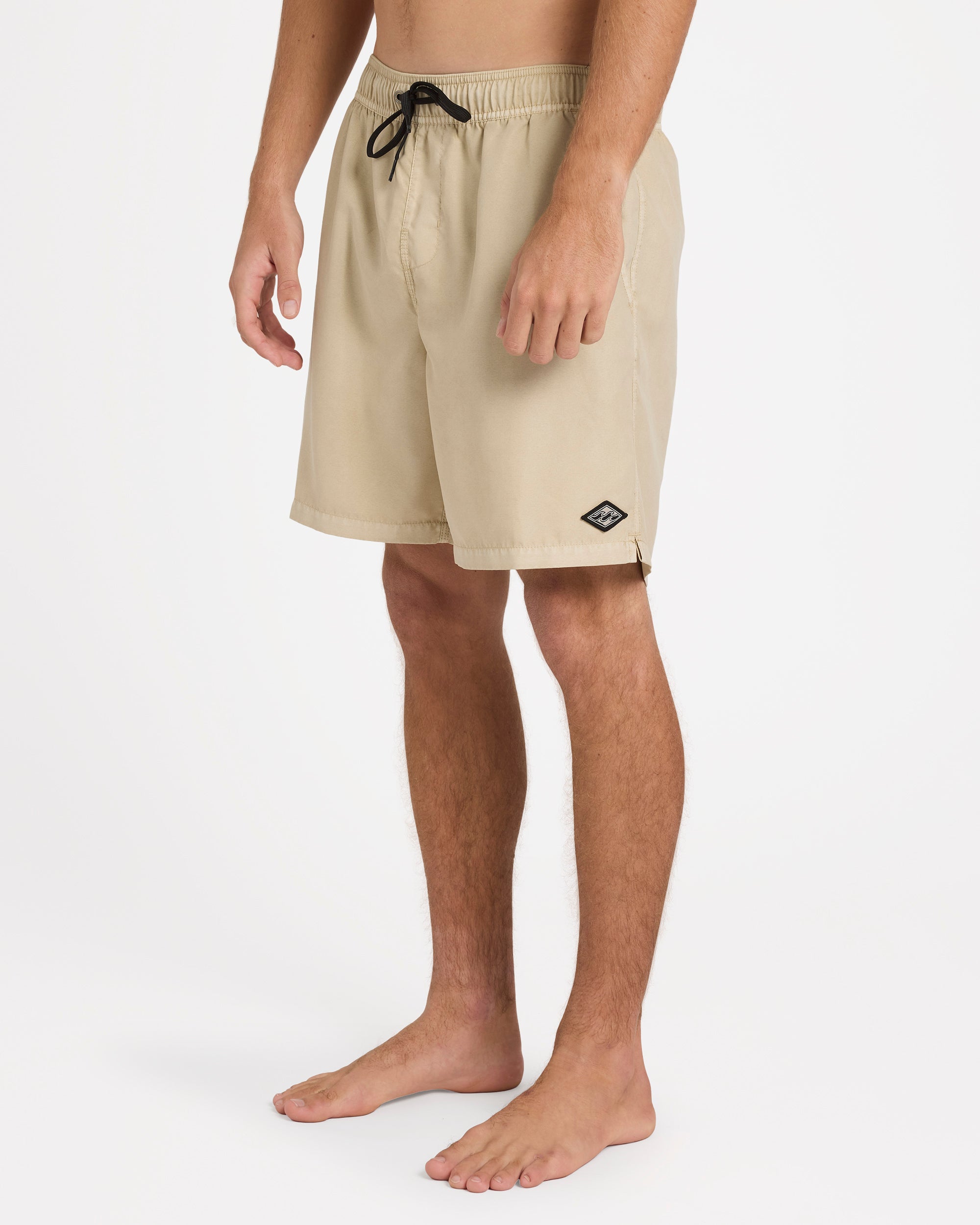 Mens All Day Overdye Layback 17" Boardshorts