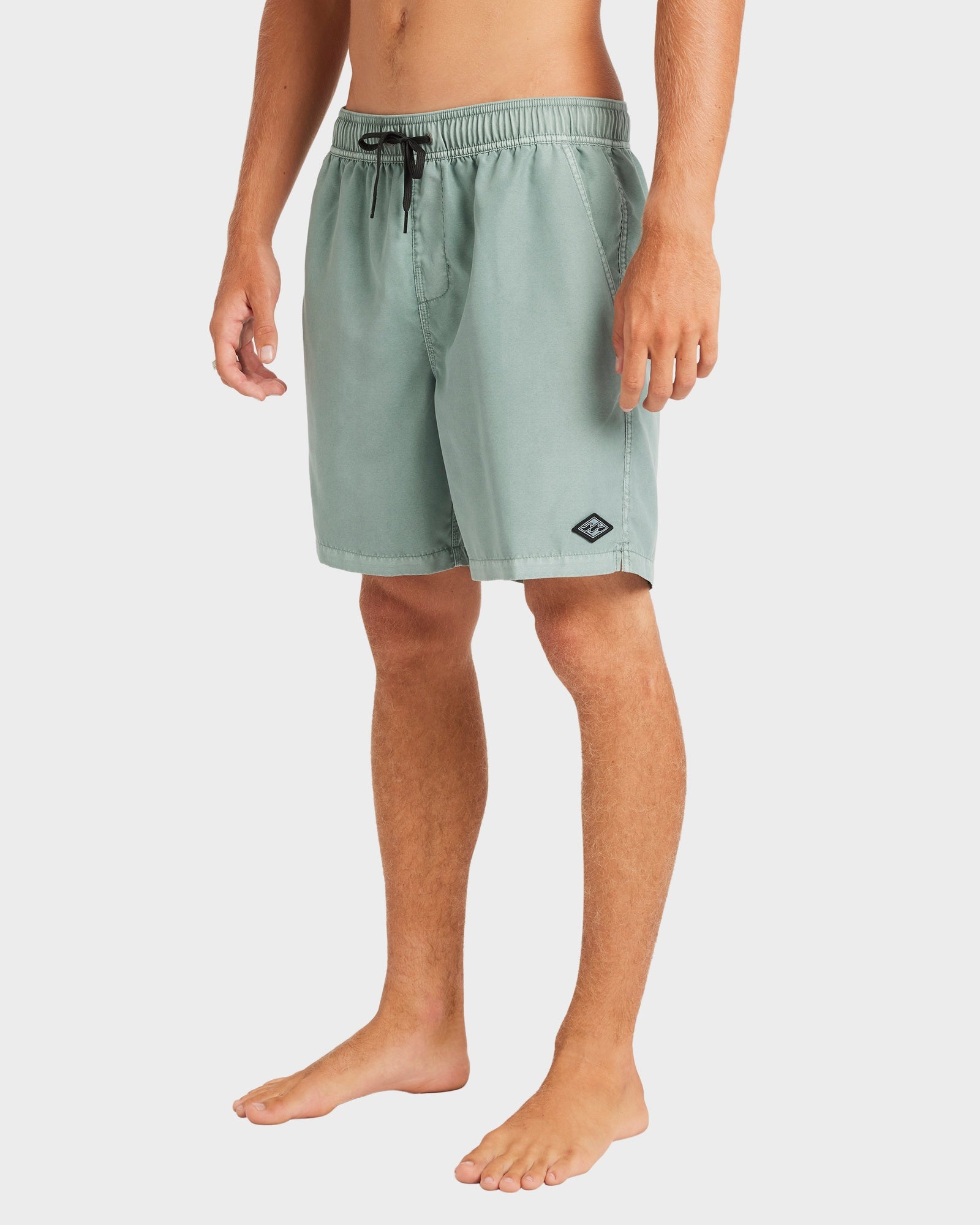 Mens All Day Overdye Layback 17" Boardshorts