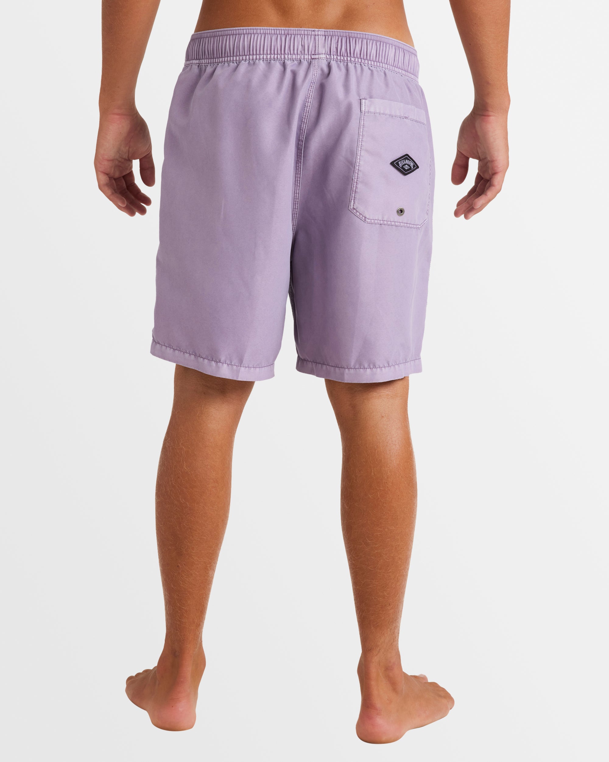 Mens All Day Overdye Layback 17" Boardshorts