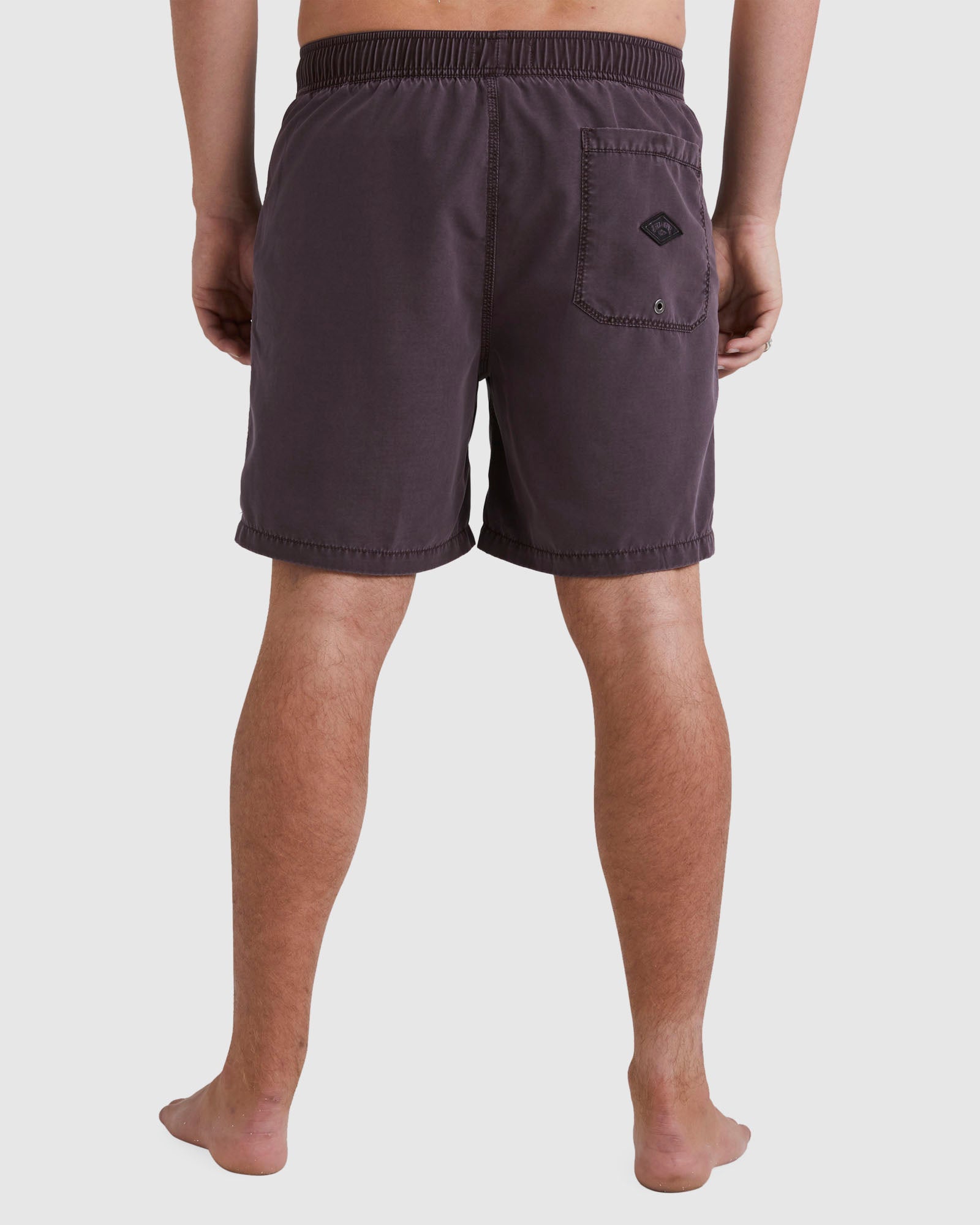 Mens All Day Overdye Layback 17" Boardshorts