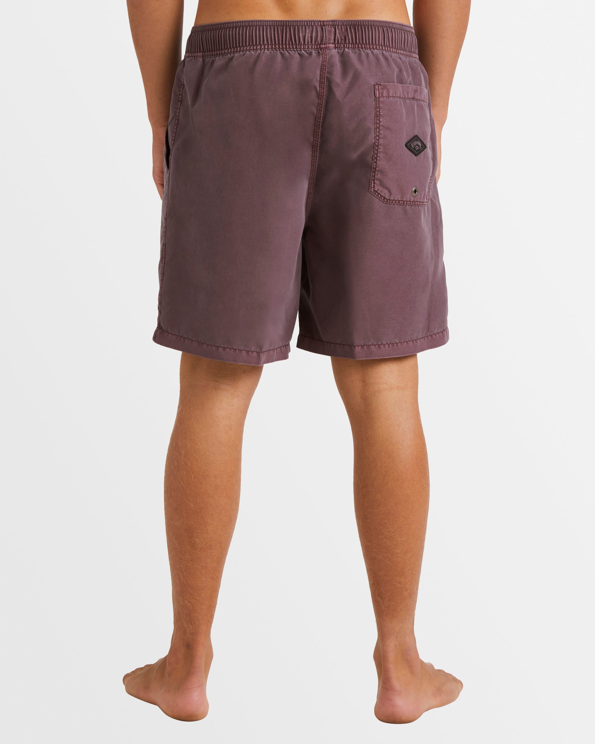 Mens All Day Overdye Layback 17" Boardshorts