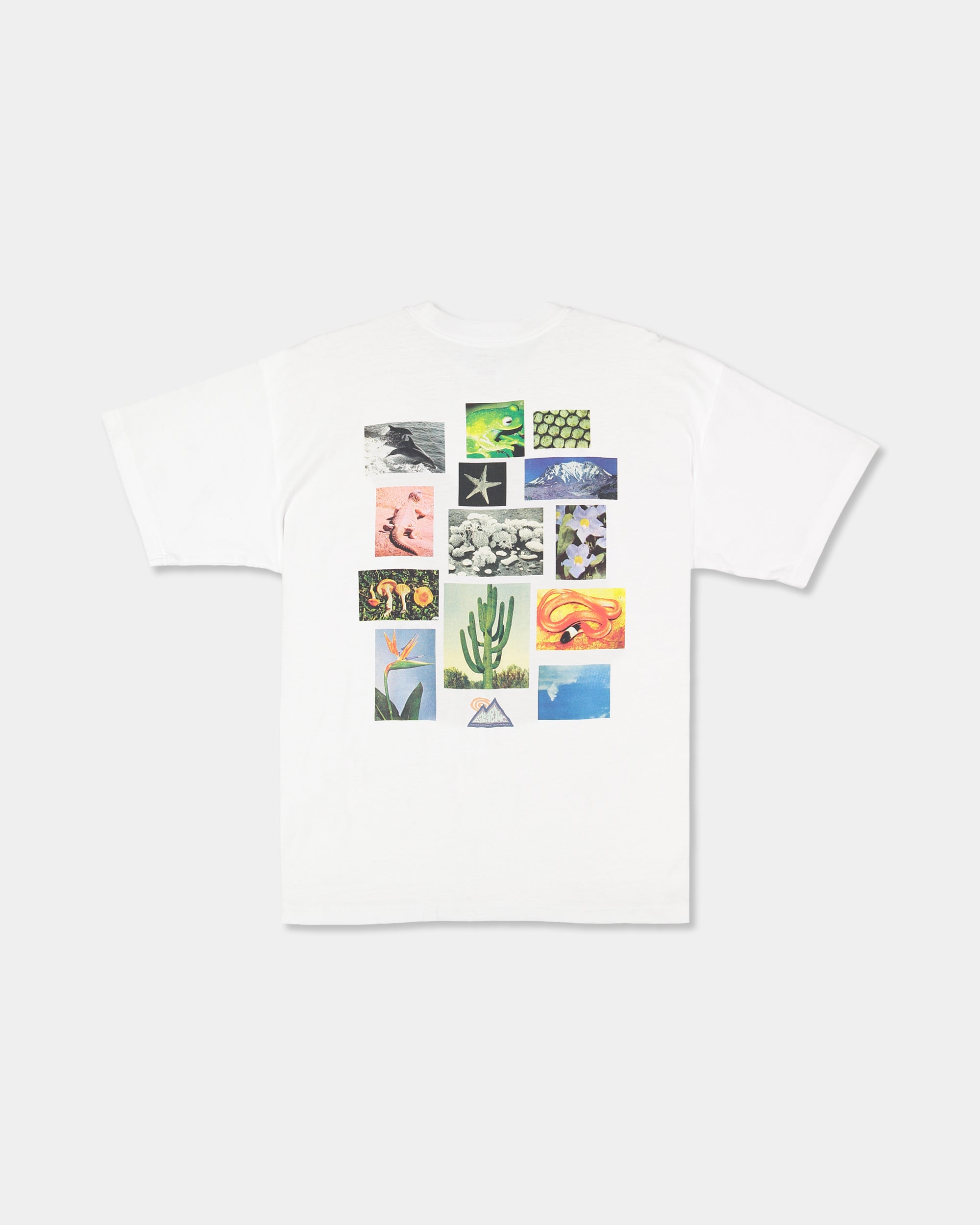 Mens A/Div Moments T-Shirt